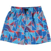 Speedo Calção De Banho Printed Leisure 15in