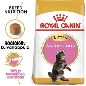 Royal Canin Ração Para Gatinhos Maine Coon De Aves 2kg