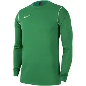 Nike Camisa funcionais 'Park 20' verde / branco