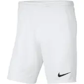 Nike Calções Dri Fit Park 3 Knit