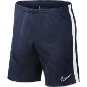 Nike Calções Dry Academy 19