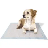 Ferplast Fraldas Genico Basic 60x60 Cm 50 Unidades