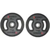 FINNLO Anilhas 25kg 2 Unidades