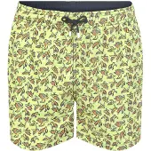 Hackett Calção De Banho Sea Turtles