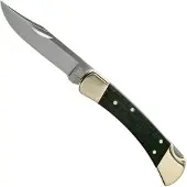 Buck Knives 110 Folding Hunter Ebony navalha