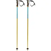 Völkl Bastões Phantastick 16 Mm