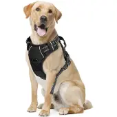 Nobleza Arnês Para Cães