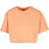 Urban Classics Camisa alperce