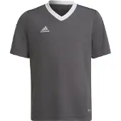 Adidas Camiseta De Manga Curta Entrada 22