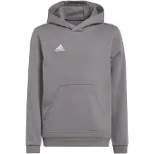 Adidas Moletom Com Capuz Entrada 22