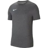 Nike Camisa funcionais 'Park 20' grafite