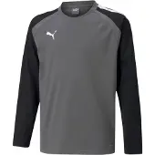Puma Camisa funcionais 'TeamLiga' cinzento / preto / branco