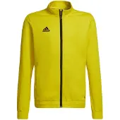 Adidas Casaco Entrada 22