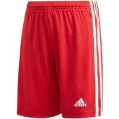 Adidas Calções Squadra 21