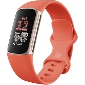 Fitbit Smartwatch Charge 6