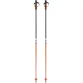 Fischer Bastões Gt 13 Comp Mag