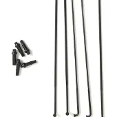 Massi Raio X-tech 5 Unidades