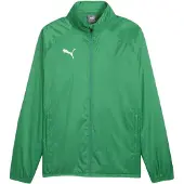 Puma Casaco deportivo 'TeamGoal' verde / branco