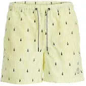 Jack & Jones Calção De Banho Fiji Small Stripes
