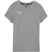 Puma Camisa funcionais 'TeamGOAL' cinzento / branco