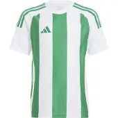 Adidas Camiseta De Manga Curta Striped 24