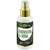 Purity Vision água de pinho orgânica 100ml
