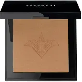 Stendhal Perfecting Compact Powder 131-Ambre