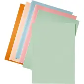Esselte Pasta | Artigo | Verde | A4 | 250 unidades