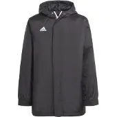 Adidas Casaco Stadium Entrada 22
