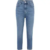 Tommy Hilfiger Jeans Dw0dw19245