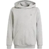 Adidas Originals Camisola com Capuz