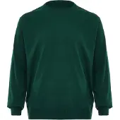 Rovic Pullover verde escuro