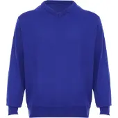Rovic Pullover azul real