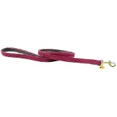 Kentucky Trela Para Cão Nylon Plaited 12 Mm