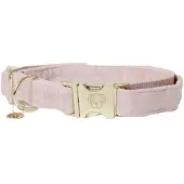 Kentucky Coleira De Cachorro Velvet