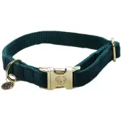 Kentucky Coleira De Cachorro Velvet
