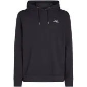 O'Neill Moletom Com Capuz Small Logo