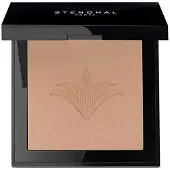 Stendhal Perfecting Compact Powder 120-Sable