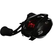 Daiwa Molinete Baitcasting Pr