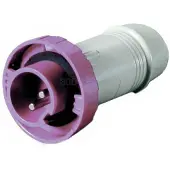 Oem Marine 3939245 Ficha 16a 12-24v