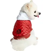 Freedog Casaco Para Cachorro Fizz