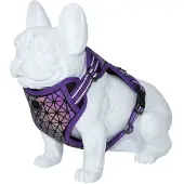 Freedog Arnês Para Cães Boreal