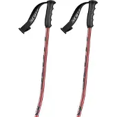 SCOTT Bastões Team Issue Gs