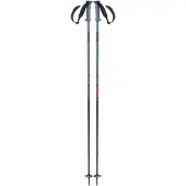 Salomon Bastões Polar Pro