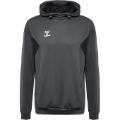 Hummel Moletom Com Capuz Authentic Pl