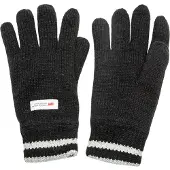 Whistler Luvas Hancok Thinsulate Knit