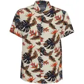 Blend Camisa mistura de cores