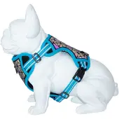 Freedog Arnês Para Cães Boreal