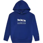 Tommy Hilfiger Moletom Com Capuz Waving Flag