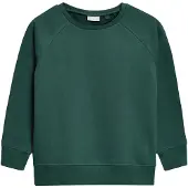 Next Sweatshirt verde escuro